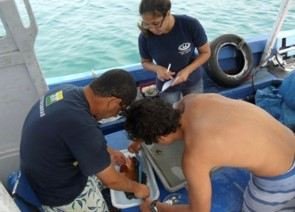 Atividade de formação técnica em pesca e aquicultura